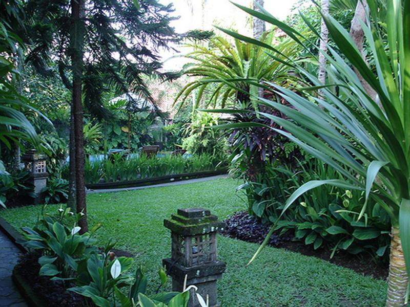 Adi Cottage Ubud Exterior foto